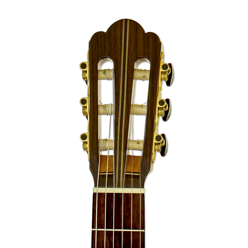 Aria S205, Fichte massiv/ Palisander